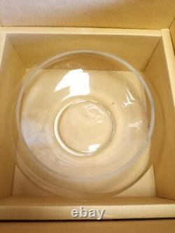 13 Piece Vintage Hand Blown Crystal Moderno Riekes Crisa Punch Bowl Set withLadle