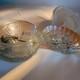Clear Glassware