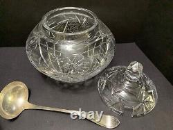 Covered HobStar Cut Glass PUNCH BOWL SET + 8 CUPS + Silver-plate LADLE Vintage