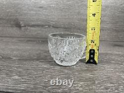 EAPG US Glass Co. Slewed Horseshoe Radiant Daisy Punch Bowl Set with 10 cups