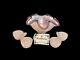Fenton Mini Punch Bowl 5 Piece Set Rose Pearl Hobstar & Feather Iridescent Edge