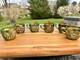 Imperial Glass Whirling Hobstar Smoke Purple Green Punch cups set Of 6