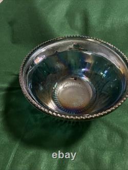 Indiana Glass Large Punch Bowl And 12 Cups. Harvest Grape Iridescent Blue