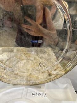International Silver Co Vtg 25C OPTIC Glass Punch Bowl with8 cups, Platter& ladle