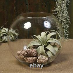 Large Grand Round Glass Bowl Succulent Terrarium Fish Punch Bowl Serving Dish