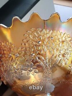 Marigold Fenton Carnival Glass Orange Tree Pattern Punch Bowl & 6 Punch Cups