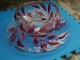 Rare Vintage Antique Oleander Red Ruby Indiana Glass Punch Bowl & Underplate