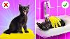 Save This Little Kitten Best Hacks For Cat Owners