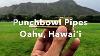 The Original Shaka Pipe By Punchbowl Pipes A Proto Pipe 2 0 For The 21st Century Made In Hawai I