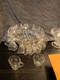 Vintage Early American Precut Arlington Pattern Glass Punch Bowl With 28 Cups