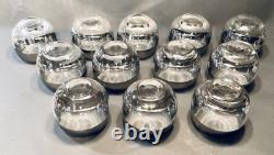 Vitreon Queens Lusterware Silver Rim Punch Bowl 12 Glasses Tray Ladle Set