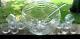 WEST VIRGINIA GLASS. Iridescent Luster Punch Bowl+Cups+Ladle. FREE Shipping